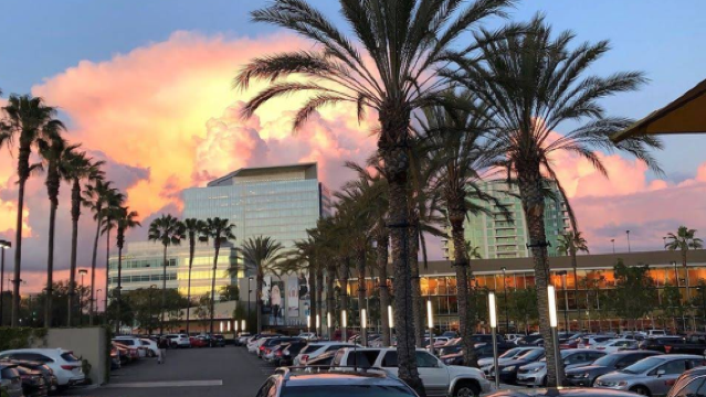 美國洛杉磯比佛利山+灰石豪苑+洛杉磯郡藝術博物館+日落大道