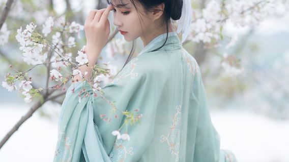 安陽旅行写真【ドライバー、ディレクター、旅行写真家 + 結婚式の写真、航空写真、マイクロフィルム + メイクアップと衣料品&アクセサリー+ 旅程のカスタマイズ】