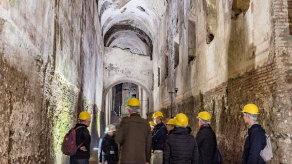 Domus Aurea: Biglietto d'ingresso + Visita Guidata