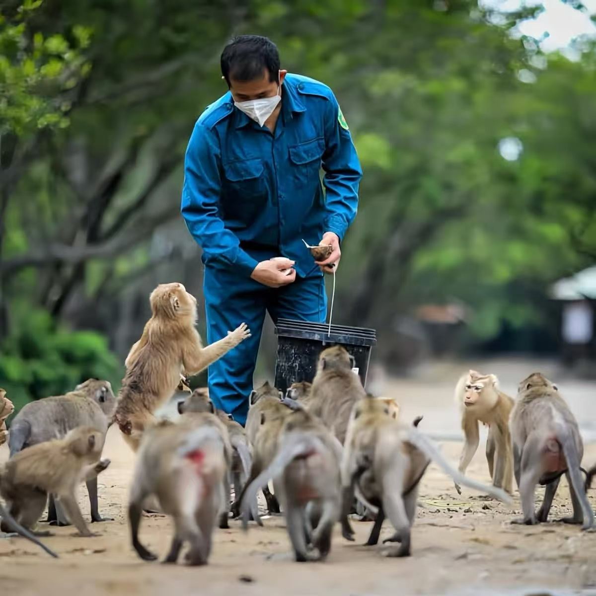 ทัวร์วันเดียว/ทัวร์หลายวัน[รับที่โรงแรม + อาหารกลางวัน + สัมผัสลิงอย่างใกล้ชิด]