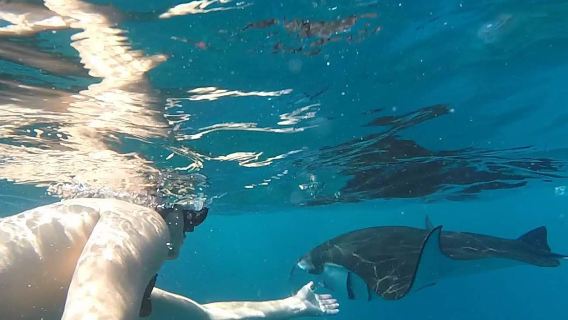 Manta Bay Snorkeling 3 spot in Nusa Penida with GoPro