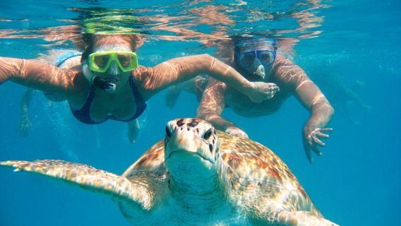 FujairahTours