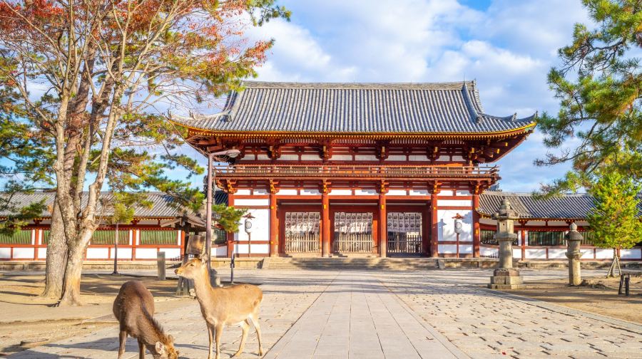 日本勝尾寺+箕面瀑布+嵐山竹林+東大寺+奈良公園【大阪遊】