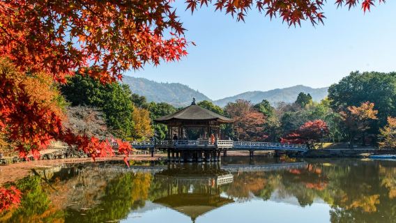 日本名古屋-白川鄉-金澤-高山-名古屋