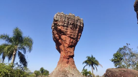 CuritibaTours