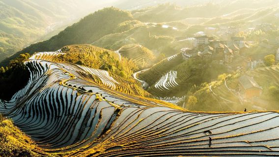 LongshengTours