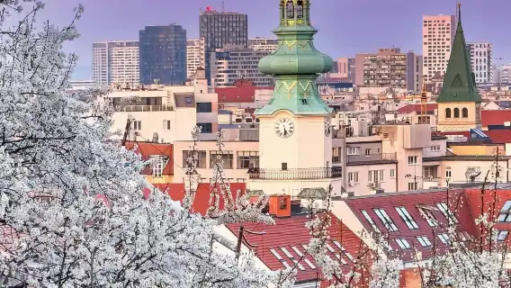 Exploring Bratislava Guided Walking Tour with Castle Admission