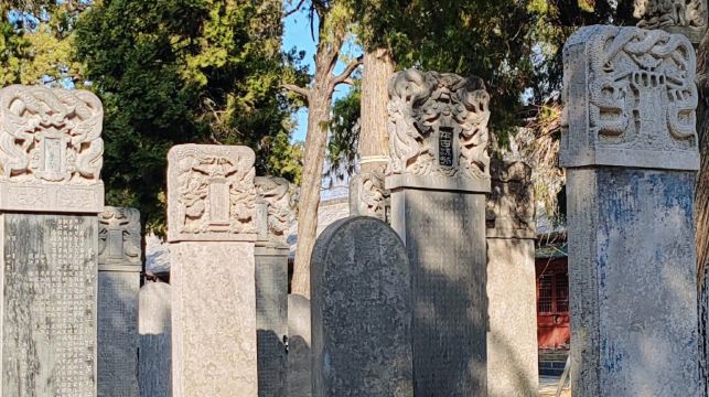洛陽白馬寺+天子駕六博物館+遺址植物園一日遊提供中英文服務