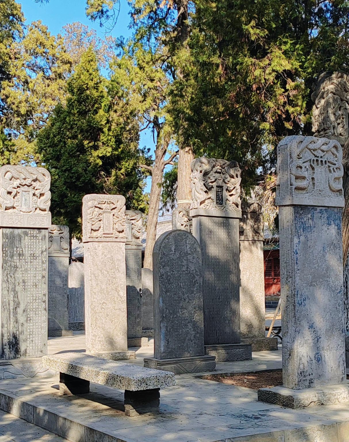 Luoyang Longmen Grottoes + Lin Temple + Peony Pavilion + Yingtianmen Ruins Private Charter 1-Day Tour - English Service Available