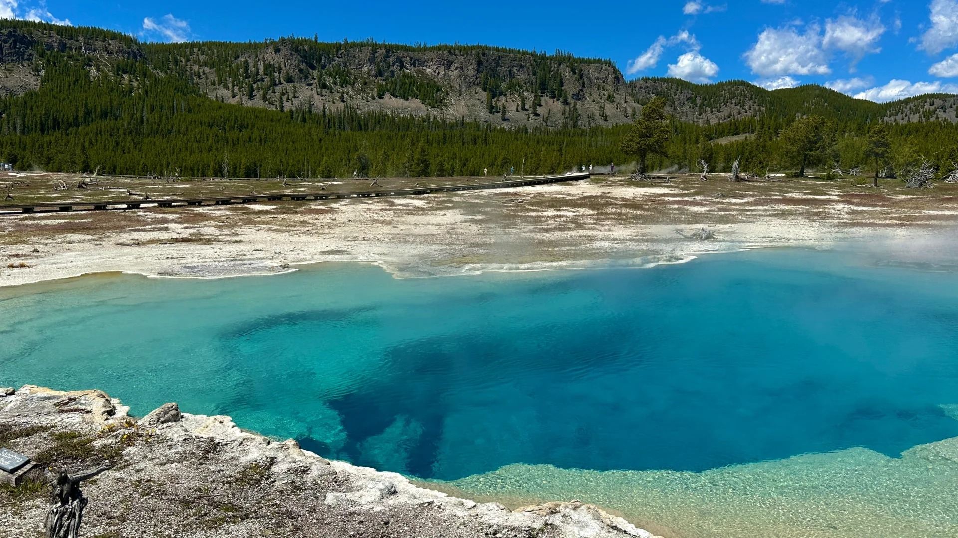 美國鹽湖城來回黃石國家公園大提頓-三四五-天-包車【精選】