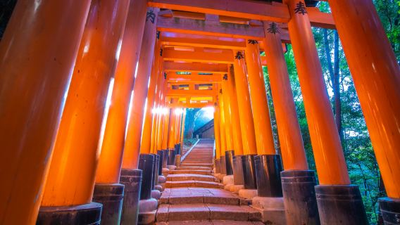 Nara Park + Fushimi Inari Taisha + Arashiyama + Kinkaku-ji with optional Kobe beef shabu-shabu set meal