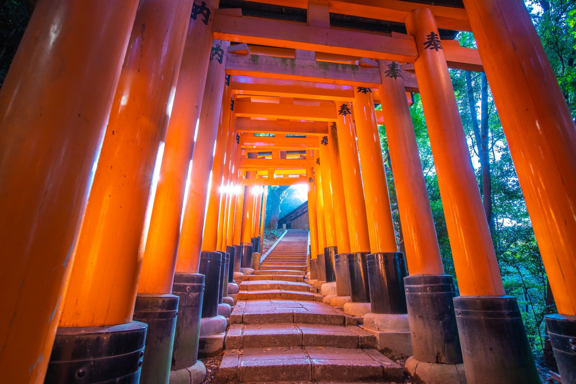 สวนสาธารณะนาระ + ศาลเจ้าฟูชิมิอินาริ + อาราชิยาม่า + วัดคิงกะกุ สามารถเลือกทานชาบูเนื้อโคเบะเซตได้