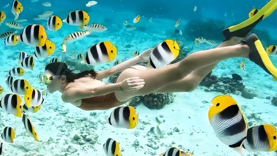 Phu Quoc IslandTours