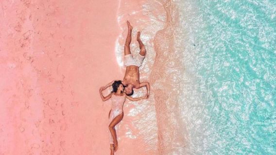 Escursione di un giorno in motoscafo a Komodo|Prelievo dall'hotel|Spiaggia Rosa|drago di Komodo|Manta