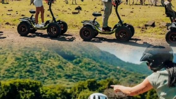 Mauritius Casela Nature Parks Admission Ticket / Walk with Lions / Leopards / Segway / Family Tour