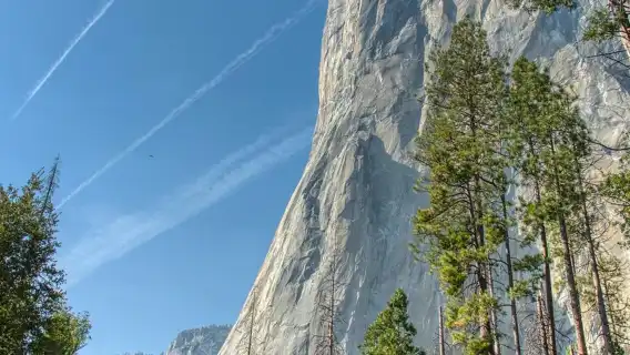 美國舊金山優勝美地國家公園+瀑布+山谷包車一日遊/行程可調