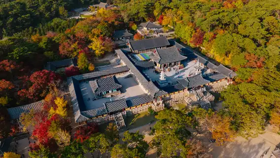釜山往返-慶州世界文化遺產一日遊 遊覽永恆的歷史遺跡