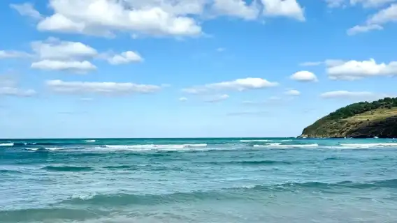 濟州島東線包車一日遊【含門票+專車】可定制行程一手報價