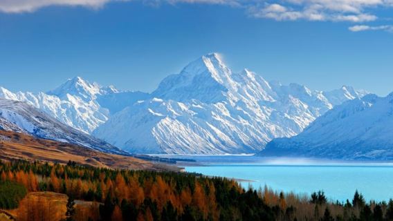 Christchurch: Chuyến tham quan 1 chiều đến Mount Cook qua Hồ Tekapo