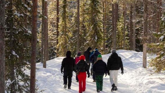 Kemijärvi: Insider Korouoma Frozen Waterfalls Hike