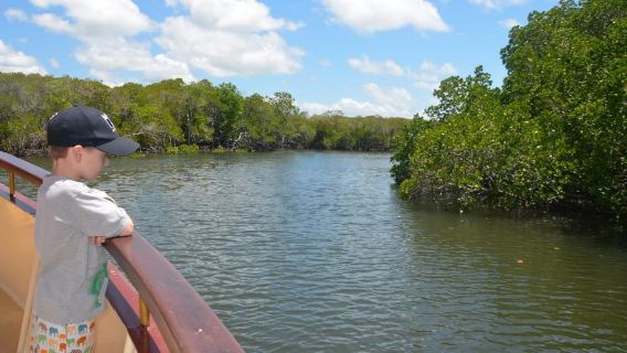 Port Douglas: crucero fluvial, avistamiento de cocodrilos, bebida/aperitivo