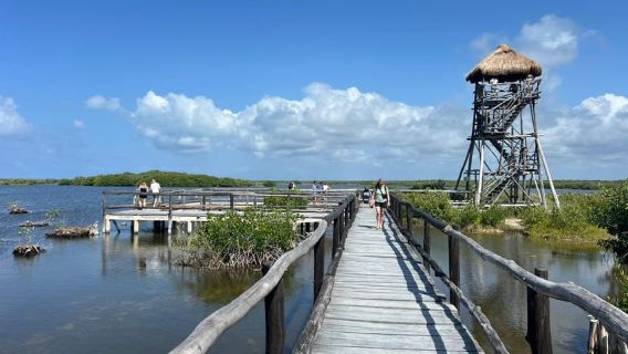 Excursion privée en Jeep au parc de Punta Sur + plongée avec tuba + déjeuner