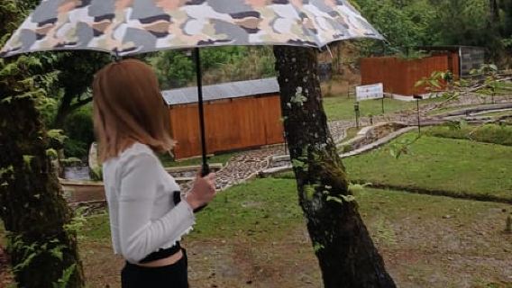 Tangkuban Perahu Mountain Tour