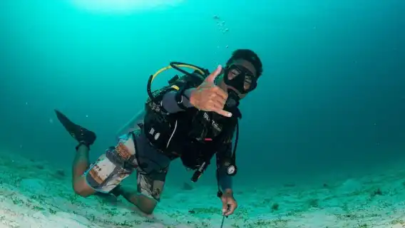 El Nido: Discover Scuba Diving with Manta Rays in Sibaltan