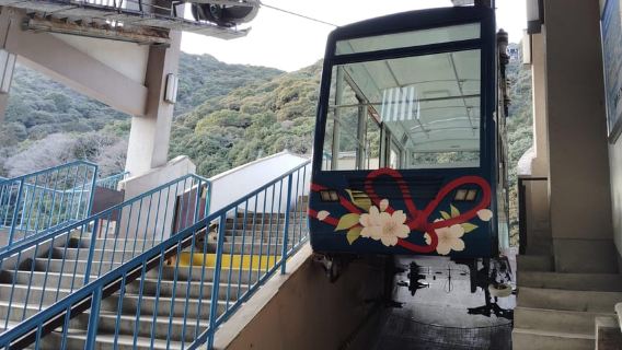 Kintai-Kyo-Brücke und Burg Iwakuni mit lokalem Führer 3 Stunden