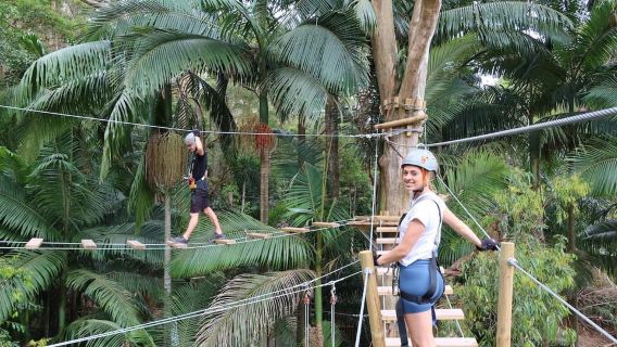 Currumbin Wildlife Sanctuary & TreeTop Challenge Combo