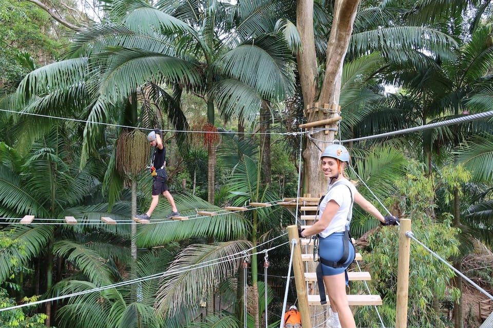 Kombination aus Currumbin Wildlife Sanctuary und TreeTop Challenge