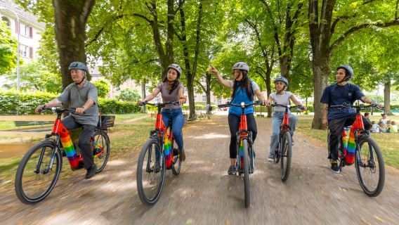 Zürich: Stadtrundfahrt mit dem E-Bike
