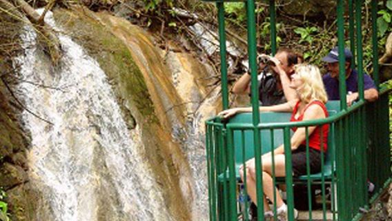 Jaco Beach : Pacific Aerial Tram à Rainforest Adventures