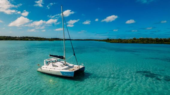 Croisière en catamaran vers l'île aux Cerfs avec observation des dauphins et déjeuner