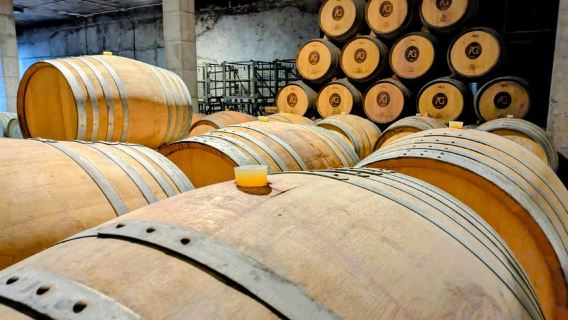 Từ Palma de Mallorca: Tour rượu vang riêng và hương vị địa phương