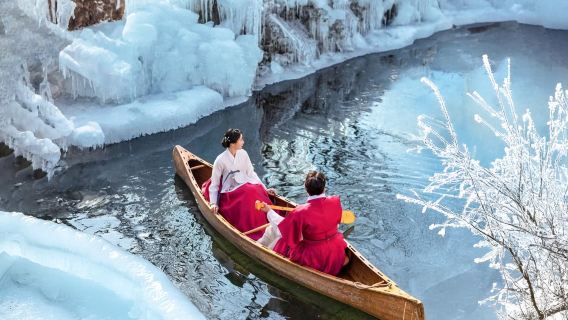 Gyeongju Kookmin Healing Park + Bulguksa + Woljeong Bridge + Gyochon Village + Hwangnidan Street One Day Tour (Depart from Busan, Winter Special Wonderland)