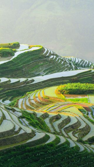 【貸切チャーター・プライベートツアー高速利用】桂林龍脊梯田双寨（金坑+平安）ワンデーツアー