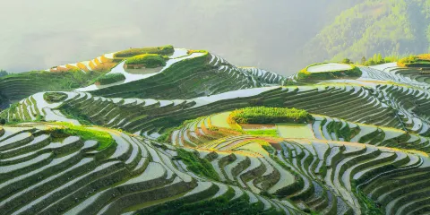 【包車·私家團走高速】桂林龍脊梯田雙寨(金坑+平安)一日遊