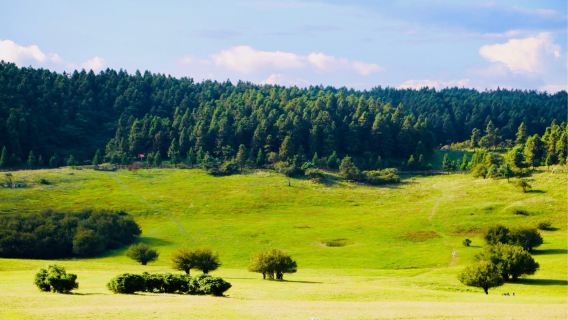 Privater Tagesausflug in Chongqing zum Fairy Mountain National Forest Park und zu den Three Natural Bridges