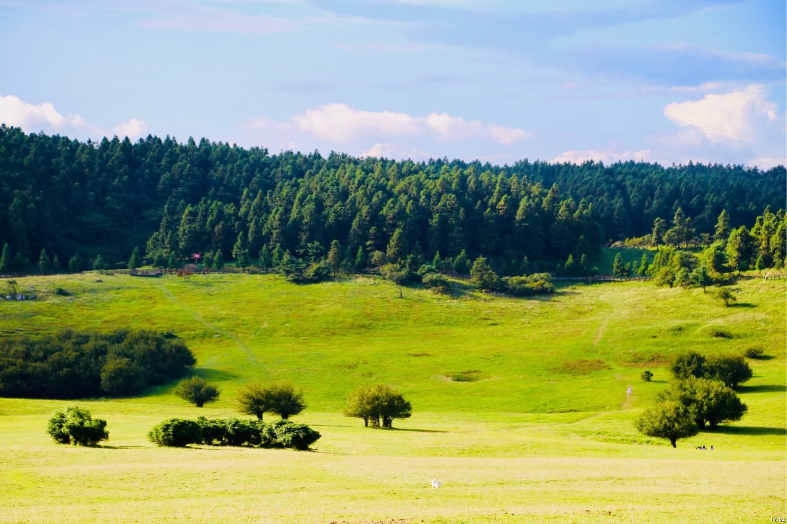ทัวร์วันส่วนตัวฉงชิ่งไปอุทยานเขานางฟ้าและสะพานธรรมชาติทั้งสาม