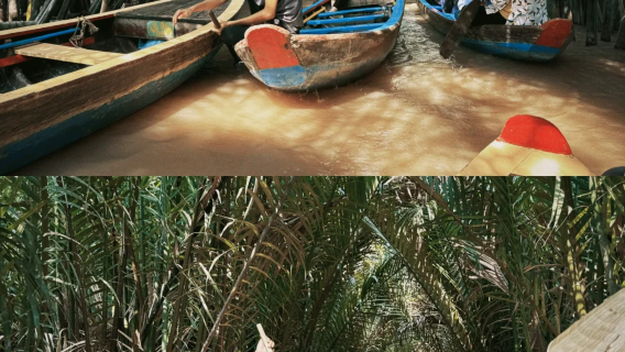 Excursión de un día al Delta del Río Mekong desde Ho Chi Minh