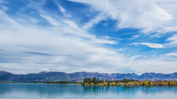 新西蘭但尼丁奧塔哥半島野生動物與歷史建築一日遊
