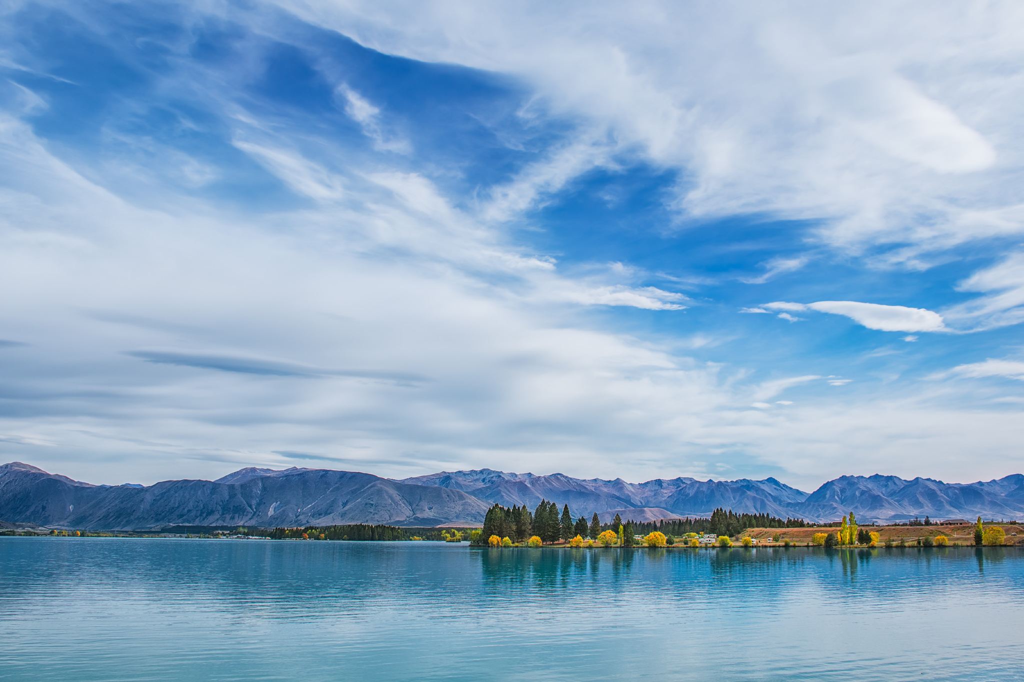 紐西蘭但尼丁奧塔哥半島野生動物與歷史建築一日遊