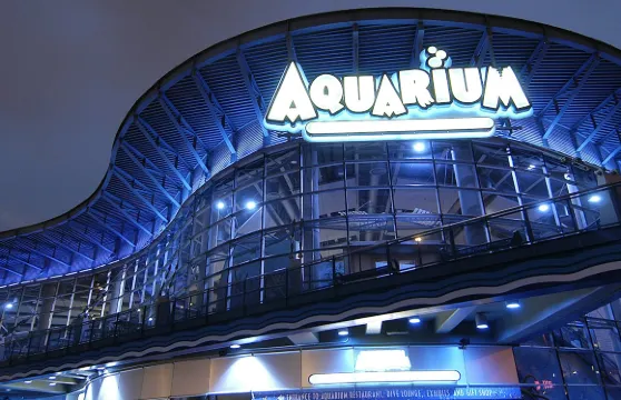 丹佛市區水族館：入場門票