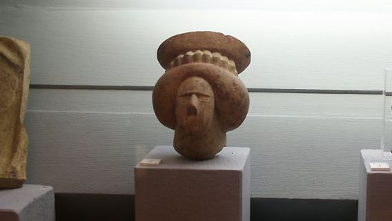 Palazzo Simi: Visita Guidata