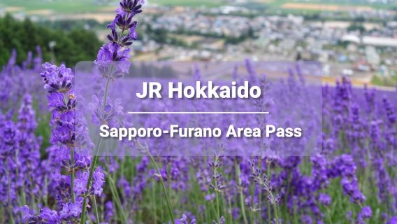 JR PASS Hokkaido Sapporo-Furano Regional Rail Pass (e-tiket 4 hari)
