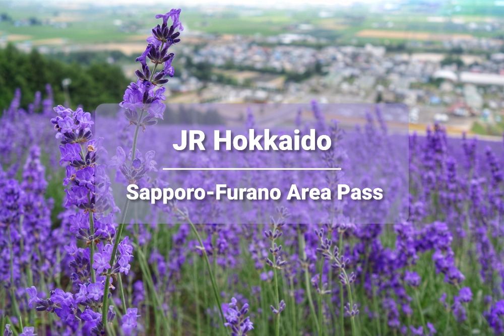 JR PASS Pass ferroviario regionale di 4 giorni Sapporo-Furano, Hokkaido (biglietto elettronico)