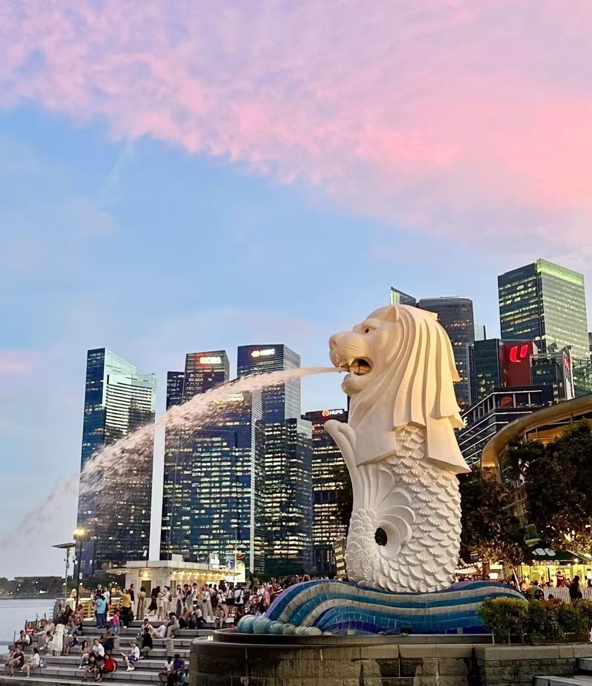 Singapore City 1-Day Tour (10-hr vehicle service/optional attractions) [Citywide pickup service]