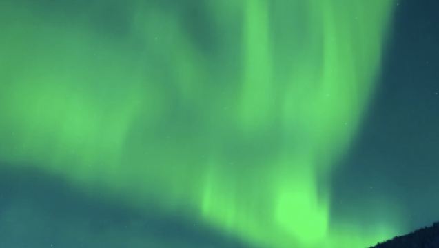 Lawatan Sehari Sewaan Peribadi di Lingkaran Artik: Muzium Universiti Tromso + Bandar Fjord + Penjelajahan Pulau Sommaroy