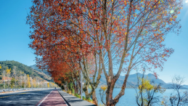 【大理出發】大理環洱海一日遊+喜洲+雙廊+理想邦+磻溪村